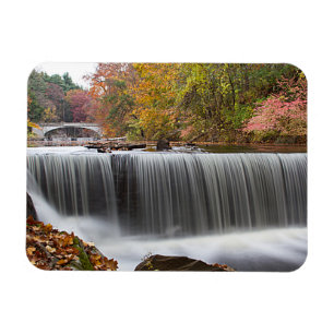 Imán Caída de otoño en Vanderbuild