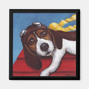 Imán Caída en as de vuelo en el entrenamiento