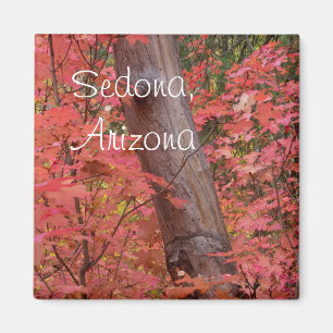 Imán Caída en rosa en Sedona, Arizona