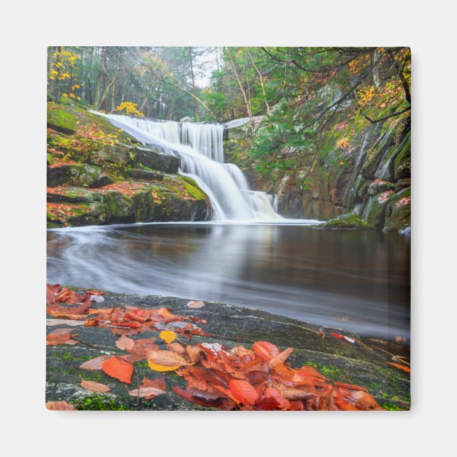 Imán Caídas de Ender en otoño (Frente)