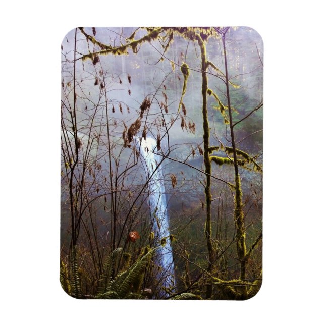 Imán Caídas de plata sur, OR (Vertical)