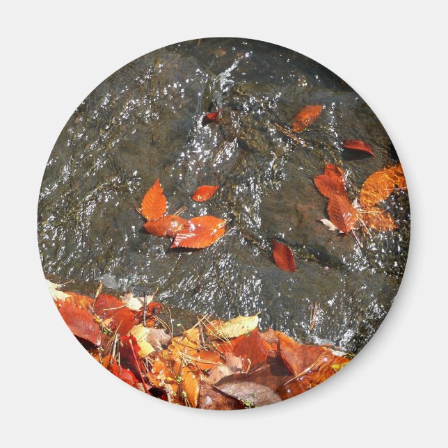 Imán Caídas en cataratas en fotografía de otoño (Frente)