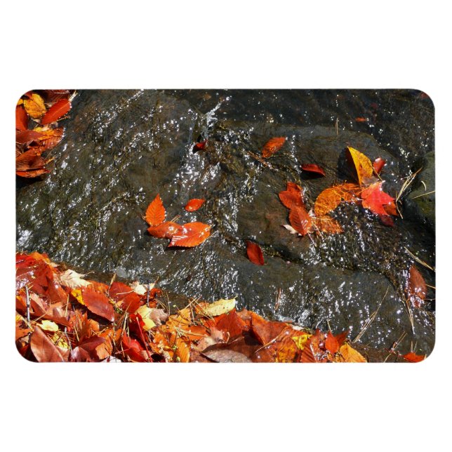 Imán Caídas en cataratas en fotografía de otoño (Horizontal)