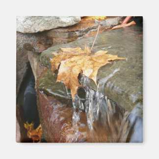 Imán Caídas en la fotografía de otoño en cascada II