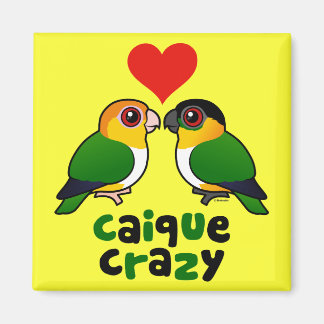 Imán Caique Crazy
