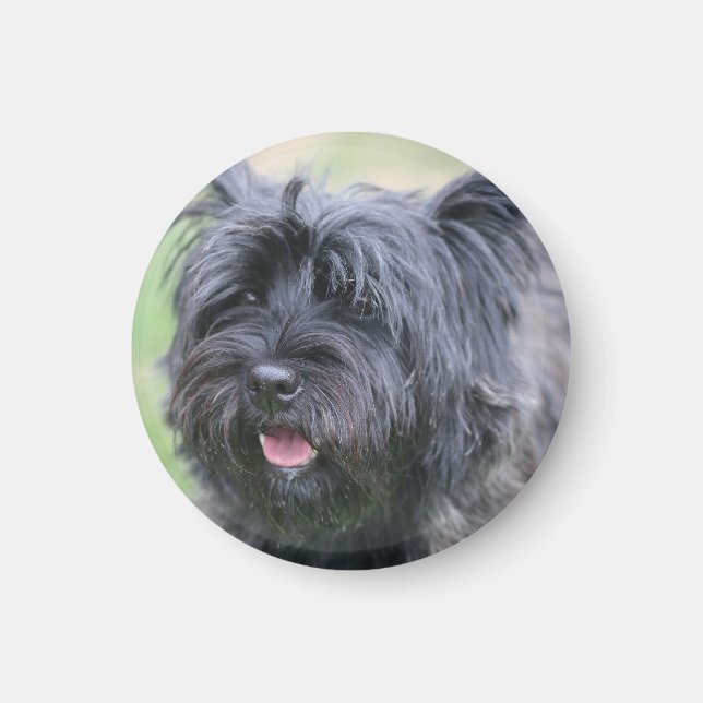 Imán Cairn (Frente)