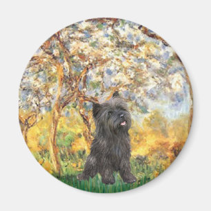 Imán Cairn Terrier (Brindle 21) - Primavera