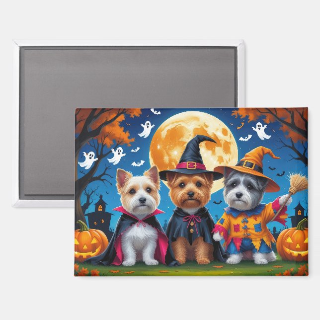 Imán Cairn Terrier Perro Calabaza Halloween Gracioso (Anverso/Reverso)