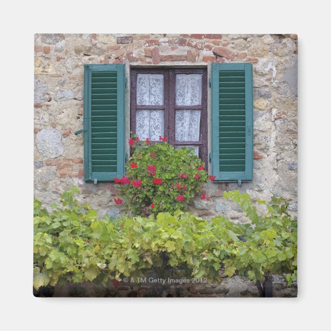 Imán Caja de flores en la ventana (Frente)