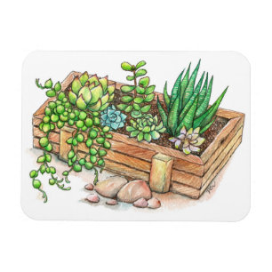 Imán Caja de Planter de éxito