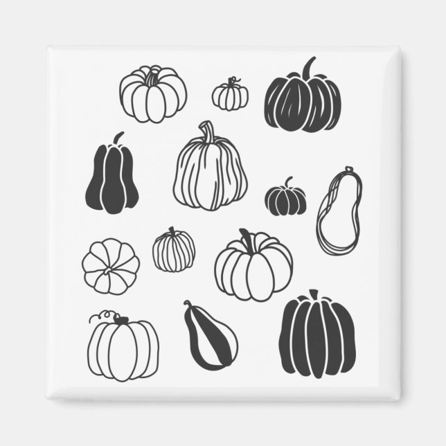 Imán Calabaza Botánica (Frente)