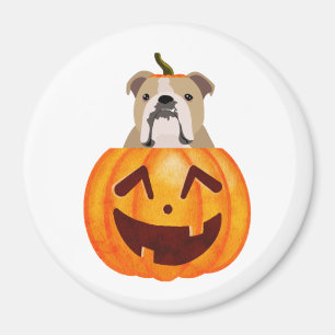 Imán Calabaza de bulldog