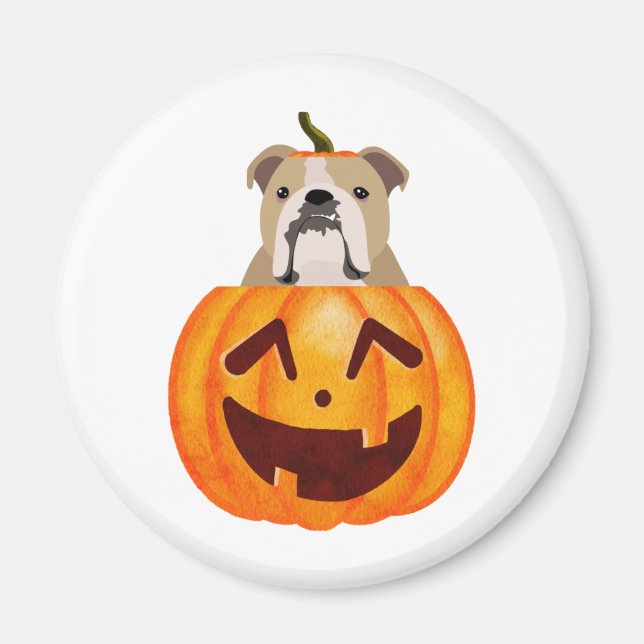 Imán Calabaza de bulldog (Frente)