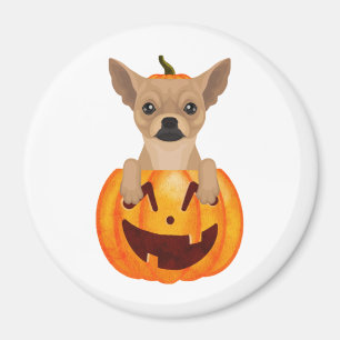 Imán Calabaza de Chihuahua