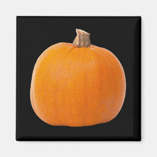 Imán Calabaza de cosecha de Naranja grande