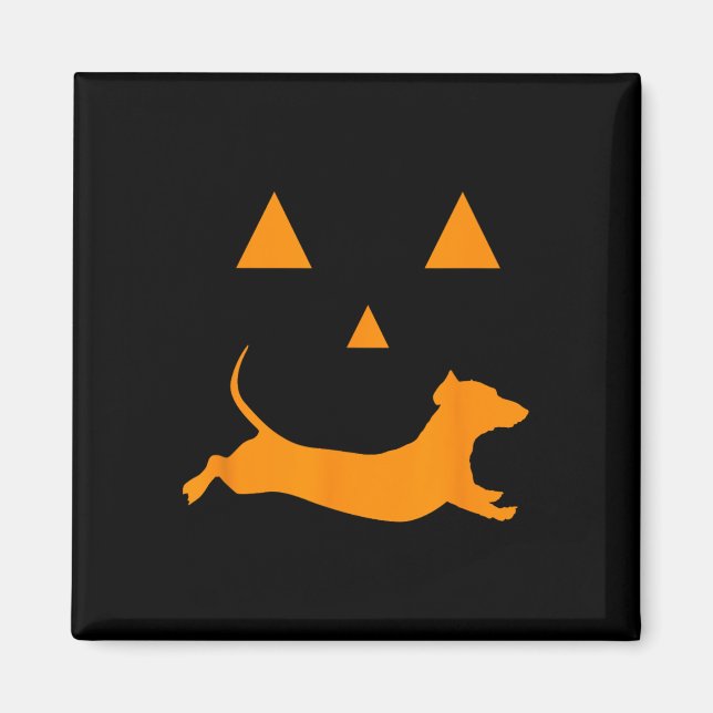 Imán Calabaza de Halloween Dachshund vestido de lintern (Frente)
