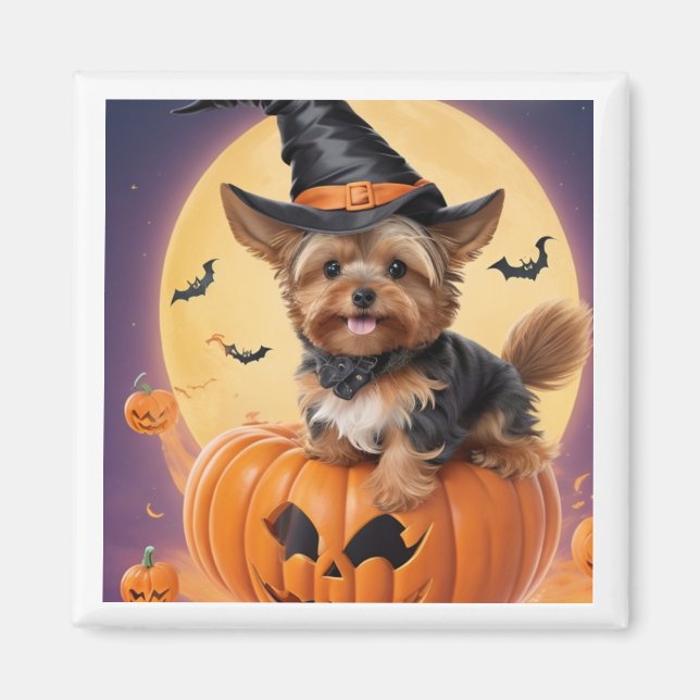 Imán calabaza de Halloween de Yorkshire terrier (Frente)