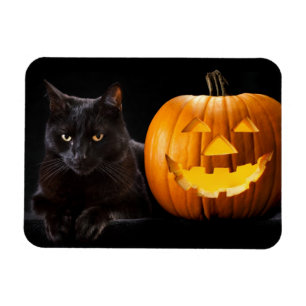 Imán Calabaza de Halloween y gato negro