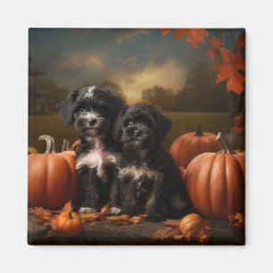 Imán Calabaza de luz de otoño de yorkipoo cachorro