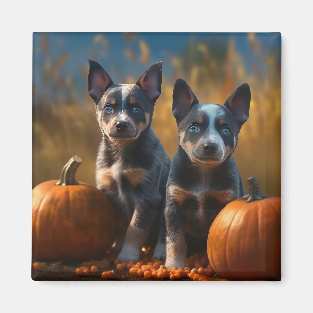 Imán Calabaza deslumbrante azul heeler pipa otoño (Frente)