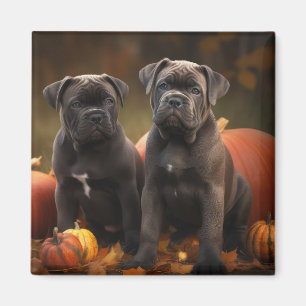 Imán Calabaza deslumbrante Caña Corso Puppy Otoño