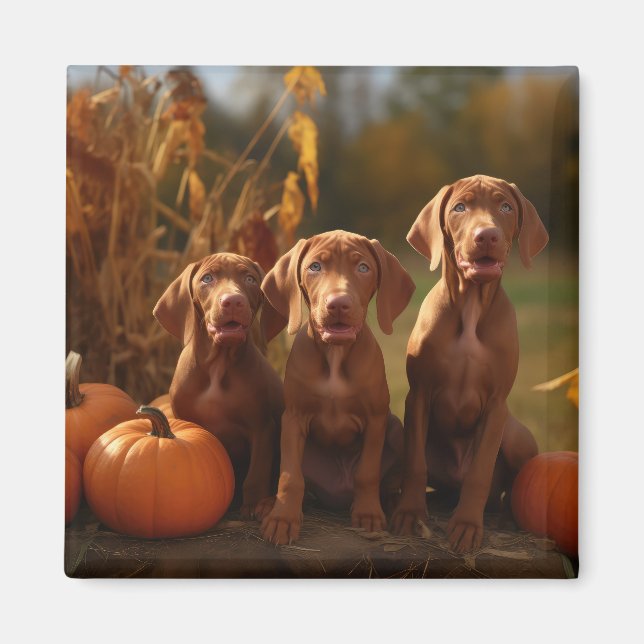 Imán Calabaza deslumbrante de Vizsla Puppy Autumn (Frente)