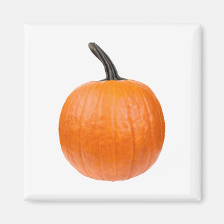 Imán Calabaza grande