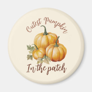 Imán Calabaza más fina en el parche