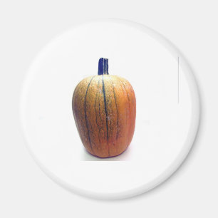 Imán Calabaza Naranja