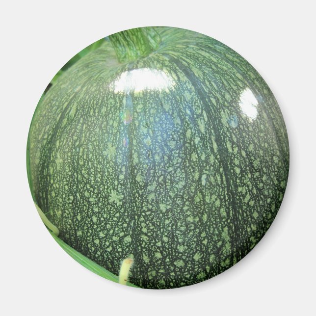 Imán Calabaza verde (Frente)