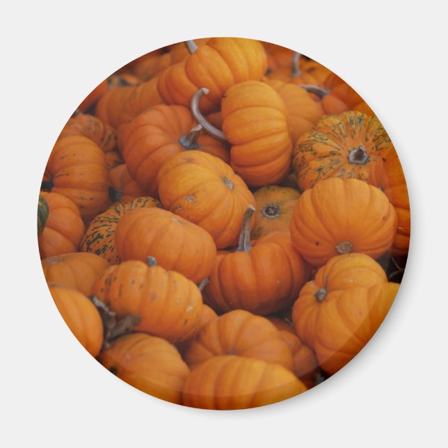 Imán calabazas (Frente)