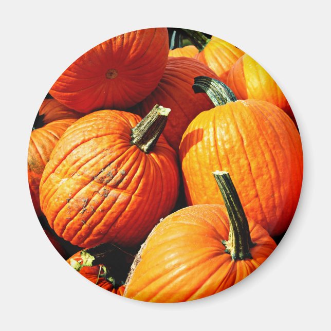 Imán ¡¡¡Calabazas!!! (Frente)