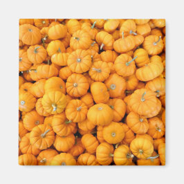 Imán Calabazas de cosecha de Naranja pequeño