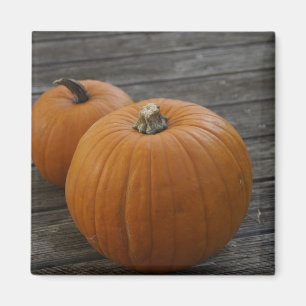 Imán Calabazas de plumas de bonito