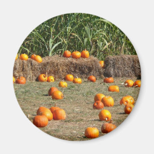 Imán Calabazas, maíz y heno Fotografía de la cosecha de