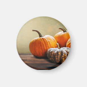 Imán Calabazas otoñales. Día de Acción de Gracias y Hal