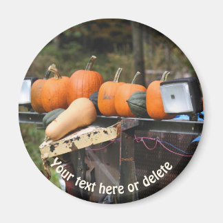 Imán Calabazas personalizadas en la naturaleza de los c
