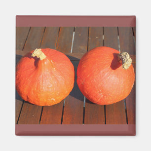 Imán Calabazas sobre una mesa de madera