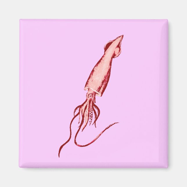 Imán calamar (Frente)