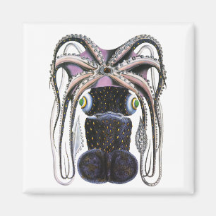 Imán Calamar u pulpo gigante vintage, animal marino