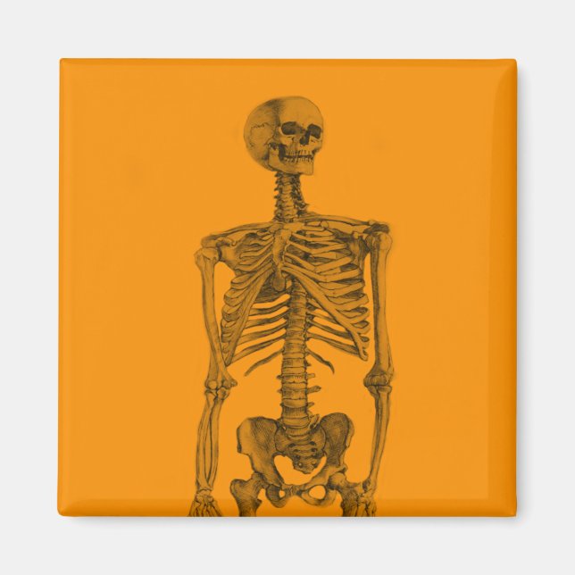 Imán Calavera de esqueleto naranja (Frente)