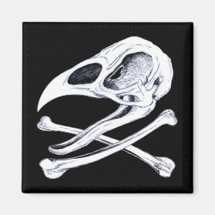 Imán Calavera de gallos y huesos cruzados