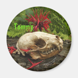 Imán Calavera de mapache viejo tronco con helechos y Mo