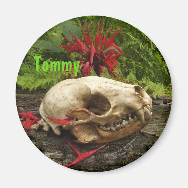 Imán Calavera de mapache viejo tronco con helechos y Mo (Frente)