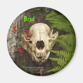 Imán Calavera de mapache viejo tronco con helechos y Mo