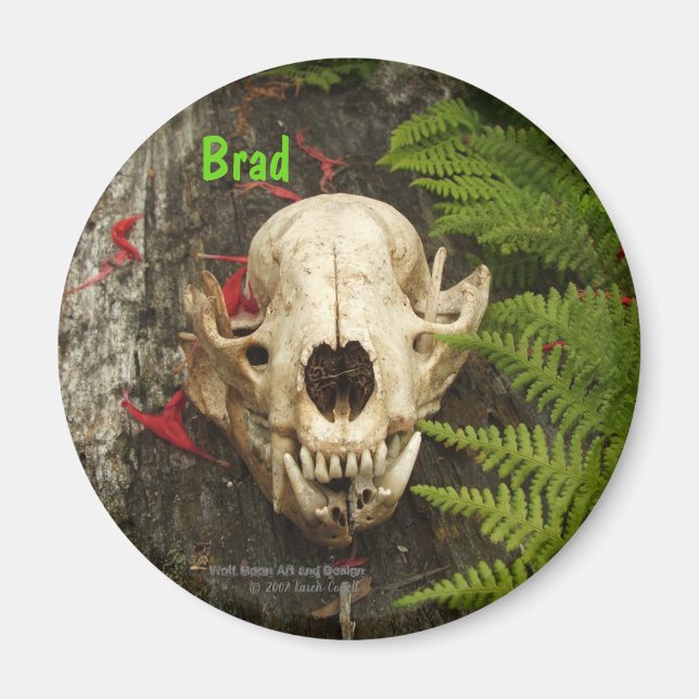 Imán Calavera de mapache viejo tronco con helechos y Mo (Frente)