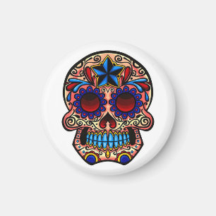 Imán Calavera/imán