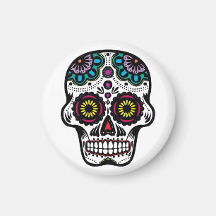Imán Calavera/imán