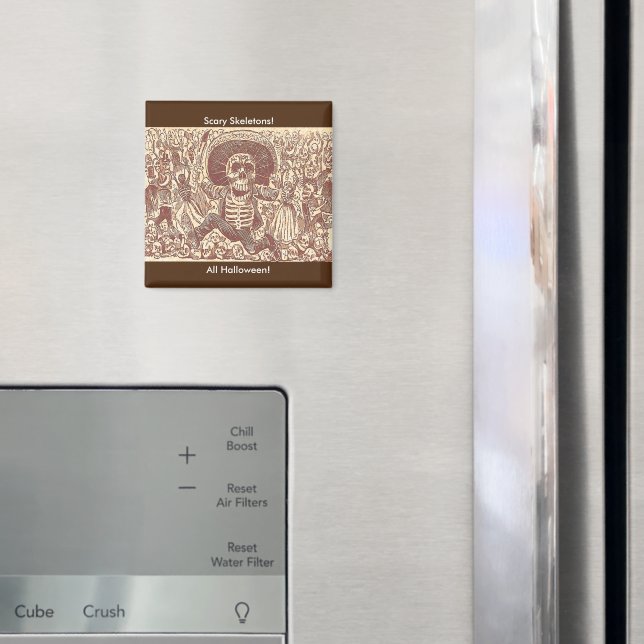 Imán Calavera Oaxaca (In situ (nevera))