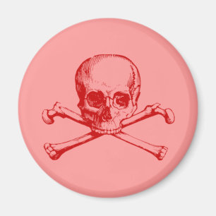 Imán Calavera vintage y cruces